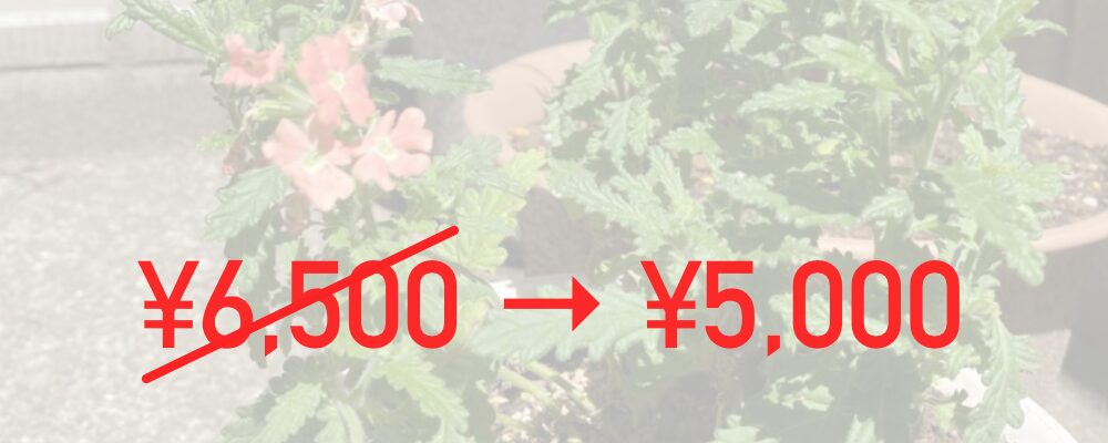 初回割引サービス